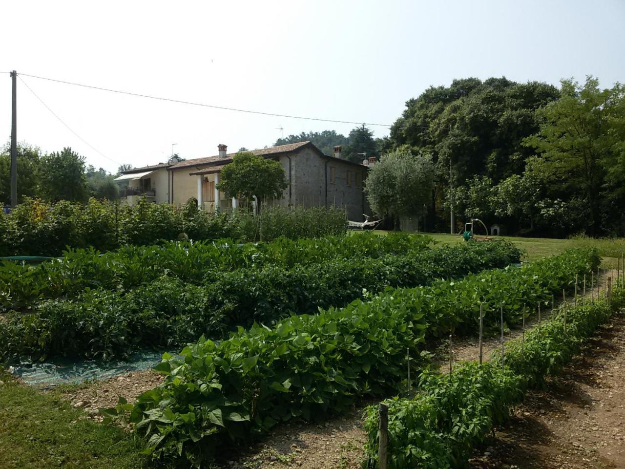 Villa Agriturismo La Scala à Salò Extérieur photo